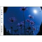 月光浴　青い星 / 石川賢治  〔本〕