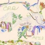 Chris Robinson Brotherhood / Barefoot In The Head 輸入盤 〔CD〕