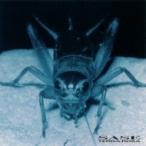 Terra Rosa テラローザ / 刹那の甘露-SASE-  〔Blu-spec CD〕