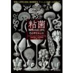 粘菌　知性のはじまりとそのサイエンス 特徴から研究の歴史、動画撮影法、アート、人工知能への応用まで /