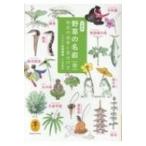 野草の名前　春 和名の由来と見分け方 ヤマケイ文庫 / 高橋勝雄  〔文庫〕