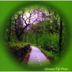 Barry Sparks / 幻想旅行　森への誘い Glimmer Of Hope 国内盤 〔CD〕