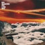 Noel Gallagher's High Flying Birds / It's A Beautiful World (12インチシングルレコード)  〔12in〕