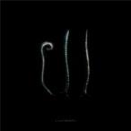 a crowd of rebellion / Ill (CD)