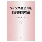 ケインズ経済学と経済開発理論 / 松下愛  〔本〕