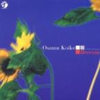 小池修 / Breezin 国内盤 〔CD Maxi〕