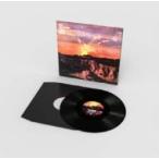 Noel Gallagher's High Flying Birds / If Love Is The Law (12インチシングルレコード)  〔12in〕