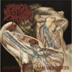 Crash Syndrom / Anatomical Amusements записано в Японии (CD)