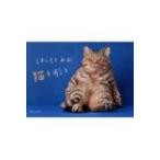 はしもとみお　猫を彫る / はしもとみお  〔本〕
