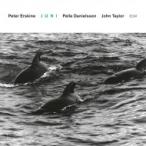 Peter Erskine / John Taylor / Palle Danielsson / Juni 輸入盤 〔CD〕