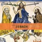Bach, Johann Sebastian バッハ / モテット集、カンタータ第50番、第118番　ジョン・エリオット・ガーディナー＆イン