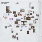 NOT WONK / Down the Valley (CD)