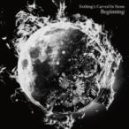 Nothing's Carved In Stone / Beginning (+DVD) (CD Maxi)
