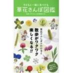 子どもと一緒に見つける草花さんぽ図鑑 / NPO法人自然観察大学  〔本〕