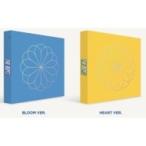 THE BOYZ / 2nd Single Album: Bloom Bloom (¥é¥ó¥À¥à¥«¥Ð¡¼¡¦¥Ð¡¼¥¸¥ç¥ó) ¡ÌCDS¡Í