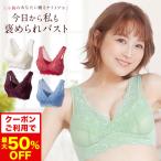 【最大50%offクーポン】ブラ累計販売200万枚突破 公式 LUNAナチュラルアップナイトブラ 小胸 育乳 バストアップ バストケア ブラジャー 鈴木奈々