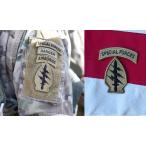  вооруженные силы США оригинал Special Foces.Special Focestab комплект OCP 15x