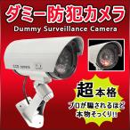 ダミーカメラ 防犯カメラ SEC-CAM-NDL ダミー 屋外 屋内 防水 防滴 防犯 セキュリティー LED点滅 インバウンド 簡単設置