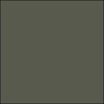 GSIkre мужской Mr. цвет RLM71 темно-зеленый C17