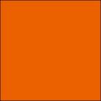 GSIkre мужской Mr. цвет прозрачный orange C49. покупка 