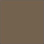 GSIkre мужской Mr. цвет Brown FS30219 C310. покупка 