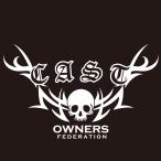 カッティングステッカー ダイハツ（DAIHATSU）CAST キャスト tribebone2 車 カー ステッカー  アクセサリー シール ガラス オーダーメイド  転写[◆]