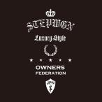 カッティングステッカー ホンダ（HONDA）ステップワゴン STEP WAGON dressup 車 カー ステッカー アクセサリー シール ガラス[◆]