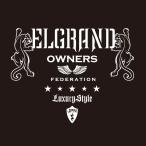 カッティングステッカー 日産（NISSAN）エルグランド ELGRAND jager 車 カー ステッカー アクセサリー シール ガラス[◆]