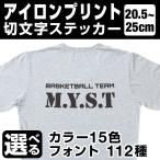 1文字からOK！25cmまで同価格！（20.5〜25cm）アイロンプリント 文字シール Tシャツプリント パーカープリント オーダーメイドパーカー ユニフォーム [◆]
