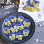エディブルフラワー ドライ 食用花 食べられる 花 ビオラ ひぐれももか 誕生日 プレゼント ギフト 自然 滋賀県 能登川 メール便対応 ポイント消化