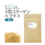 II型 コラーゲンペプチド ２型コラーゲン 60g 40日分（鶏軟骨 collagen supplement）