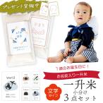 一升米 小分け 文字タイプ 選び取り セット 1歳 誕生日 一升餅 の代わりに 一生米 コメ ギフト 令和6年 国産米