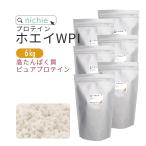 ホエイプロテイン WPI 6kg プレーン味