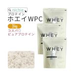 ホエイプロテイン WPC 3kg プレーン味(100 パウダー 甘味料 香料無添加 プロテイン ホエイ)