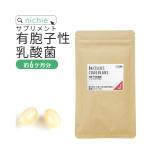 ショッピング楽天 有胞子性 乳酸菌 サプリ 180粒（約6ヶ月分） 乳酸菌生産物質 ビフィズス菌 有胞子性乳酸菌 サプリメント E40 爆買