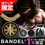 磁気ネックレス バンデル ネックレス メンズ レディース 医療機器 プレゼント ギフト スポーツ アクセサリー 肩こり