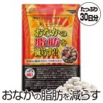ショッピングほほえみ 黒しょうがプラス 1袋 約1ヶ月分 ブラックジンジャー 機能性表示食品 F443 - ほほえみ元気クラブ