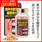 血中の余分な脂質をとるお薬 血流改善 血中脂質 血清高コレステロール改善薬 冷え性 手足のしびれ 1箱 【第３類医薬品】