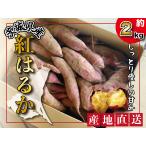  Ibaraki префектура производство батат .. .. примерно 2kg конфеты батат земля есть . клубень ... овощи 