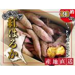  Ibaraki префектура производство батат .. .. примерно 20kg конфеты батат земля есть . клубень ... овощи 