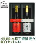  подарок на Bon Festival shochu подарок небо звезда sake структура основной potato shochu ... белый комплект ( 2 шт ) / лето подарок sake sake комплект набор популярный модный популярный подарок 