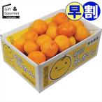  скидка за ранний заказ фрукты подарок Wakayama префектура производство Arita мандарин (3kg) / подарок по случаю конца года зима подарок внутри праздник . фрукты подарок фрукты комплект фрукты подарок фрукты комплект подарок комплект набор 