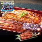 父の日 ギフト グルメ 父の日専用 大森淡水 国産うなぎ蒲焼(長焼2尾) / プレゼント グルメセット 2人前 二人前 惣菜 食べ物 国産 うなぎ 鰻 蒲焼き