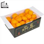  фрукты подарок Ehime префектура производство "солнечный круг" мандарин (2kg) / подарок по случаю конца года зима подарок внутри праздник . фрукты подарок фрукты комплект фрукты подарок фрукты комплект подарок комплект набор 