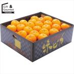  фрукты подарок Ehime префектура производство JA запад . мир тест .. мандарин (5kg) / подарок по случаю конца года зима подарок внутри праздник . фрукты подарок фрукты комплект фрукты подарок фрукты комплект подарок комплект 