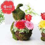 母の日 苔玉 インテリア 母の日専用 モスラビット・アレンジ / ギフト プレゼント フラワーアレンジメント 可愛い 兎 かわいい カーネーション バラ