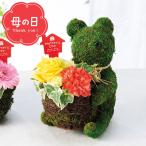 母の日 苔玉 インテリア 母の日専用 モスベアー・アレンジ / ギフト プレゼント フラワーアレンジメント 可愛い クマ かわいい カーネーション バラ