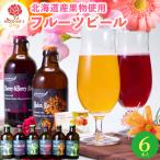 母の日 ギフト ビール送料無料 北海道フルーツビール 6本セット / 内祝い お返し 結婚 御返し クラフトビール 地ビール ご当地ビール お土産 人気 お返し