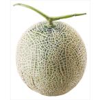  внутри праздник . фрукты подарок бесплатная доставка маска дыня (1 шар )(AF-MM1.3-1) / ответ брак . вернуть внутри праздник . персик .. Momo мандарин mi can меласса . фрукты .. было использовано местного производства 