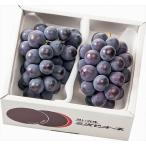  внутри праздник . фрукты подарок бесплатная доставка Hiroshima три следующий pio-ne(HMP-2-400) / ответ брак . вернуть внутри праздник . персик .. Momo мандарин mi can меласса . фрукты .. было использовано местного производства 